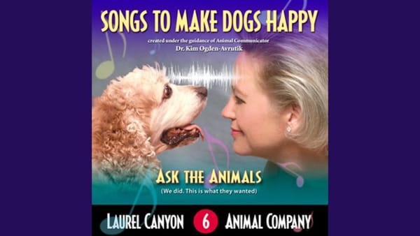 How A Song About a Dog Toy Kept Me From Shitting Myself in Iraq